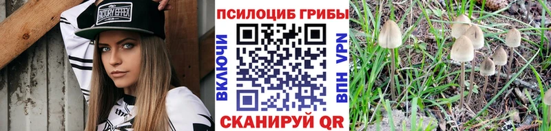 купить наркотики цена  Ревда  Псилоцибиновые грибы GOLDEN TEACHER 